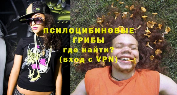 ГАЛЛЮЦИНОГЕННЫЕ ГРИБЫ Нефтегорск
