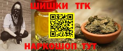 гашик Дубна