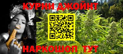гашик Дубна