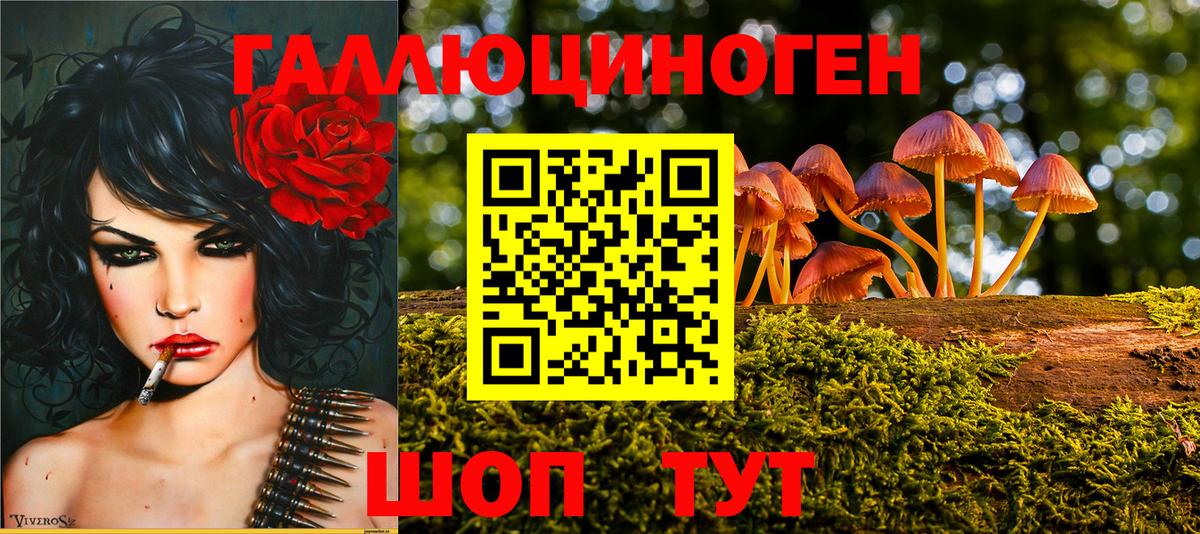Галлюциногенные грибы Psilocybe Когалым